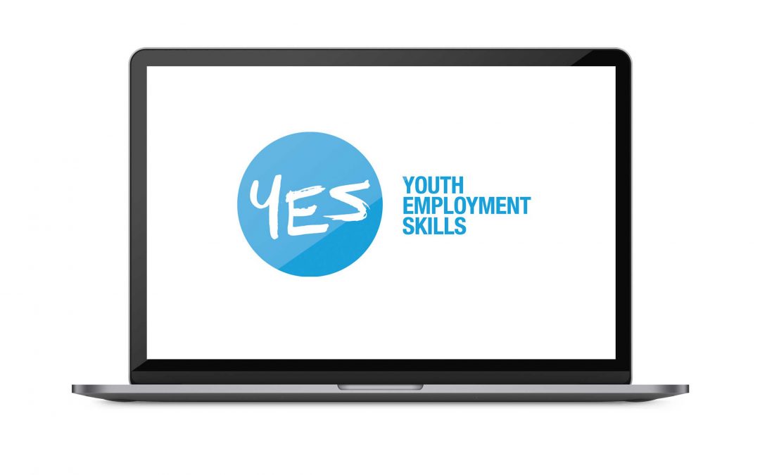 Youth Employability Skills & Indaba Website